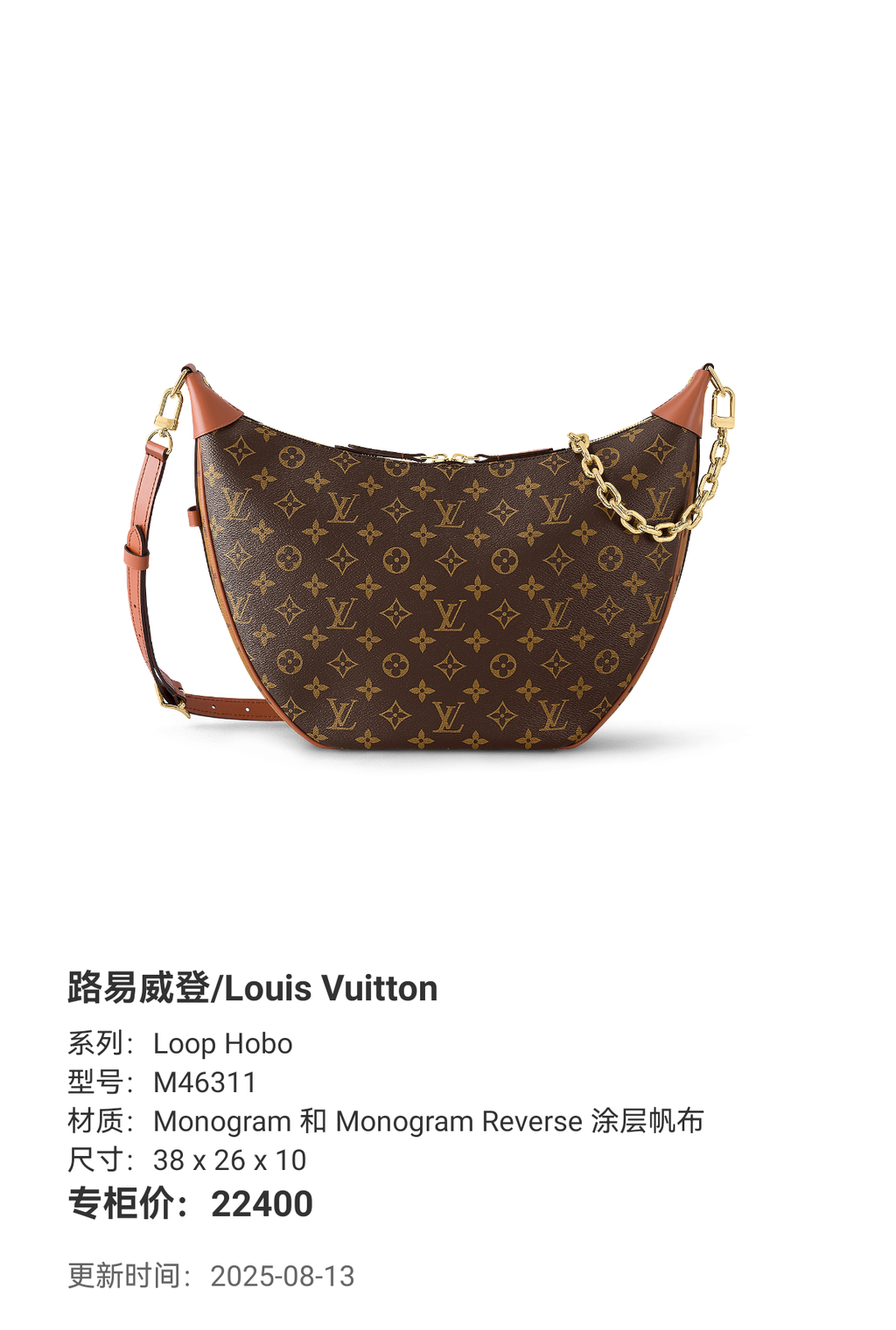 M46311 Loop Hobo
