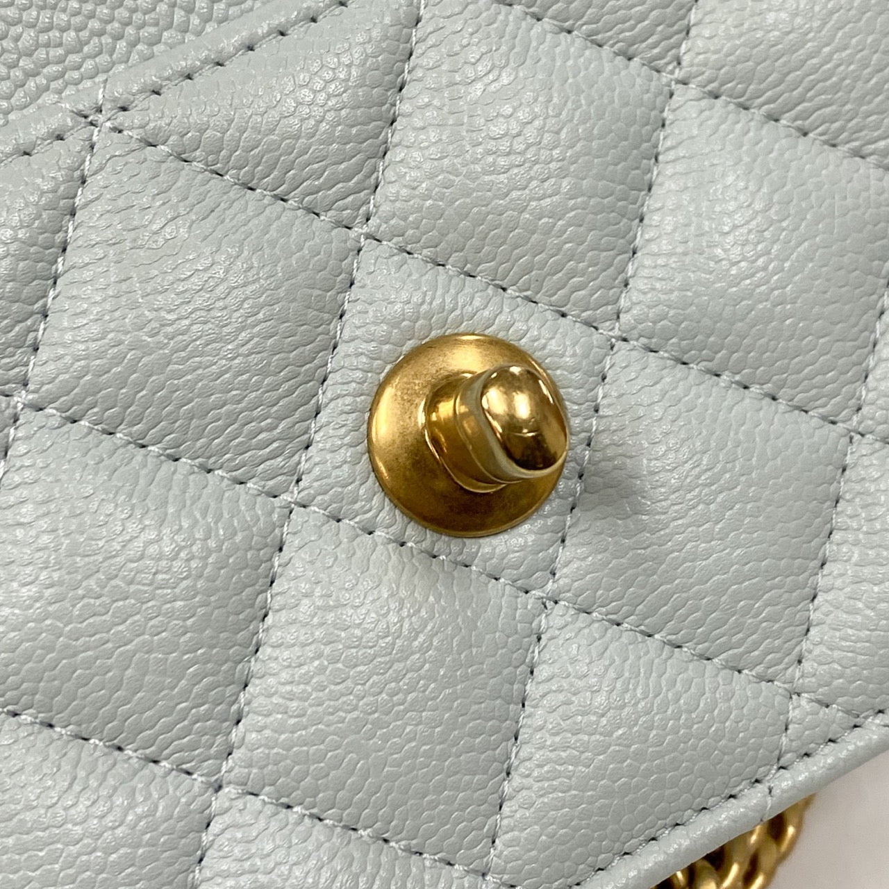 Chanel woc camellia Wallet On Chain in Grained Calfskin & Gold-Tone Metal
