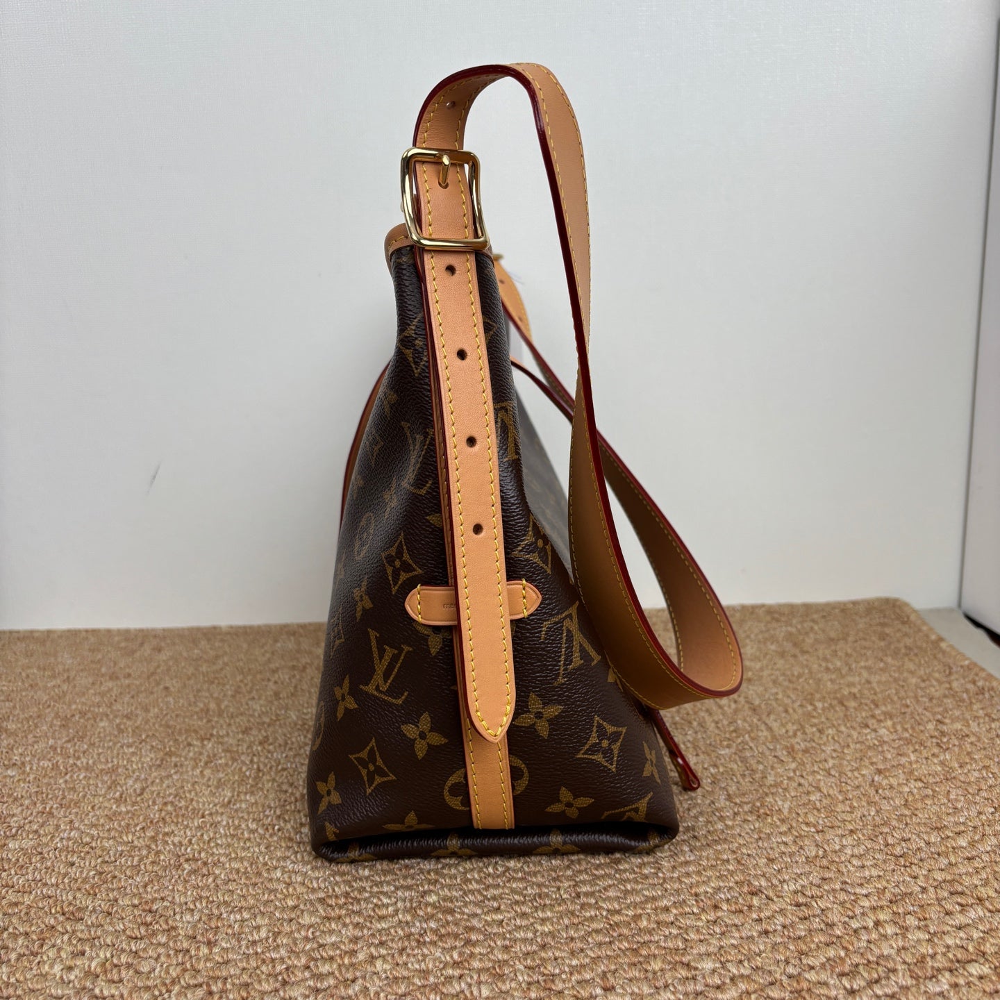 Louis Vuitton M46203 CarryAll PM