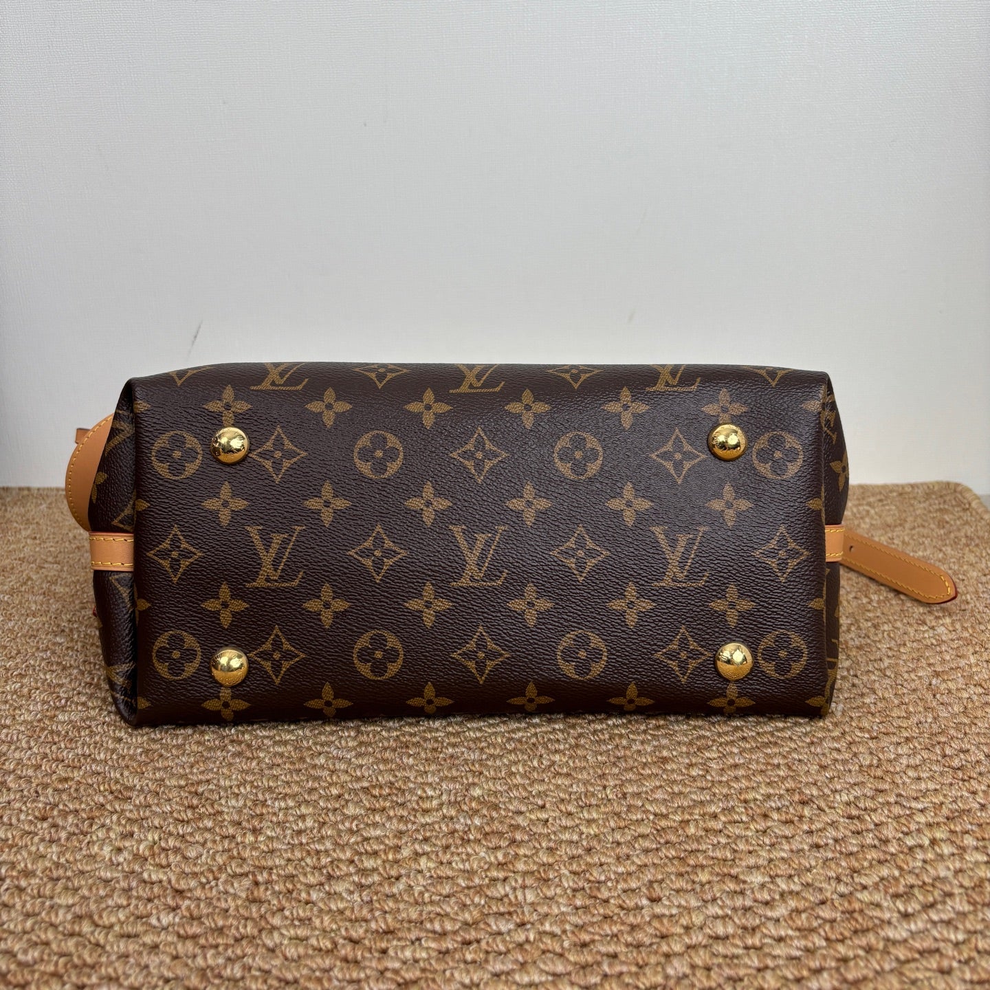 Louis Vuitton M46203 CarryAll PM