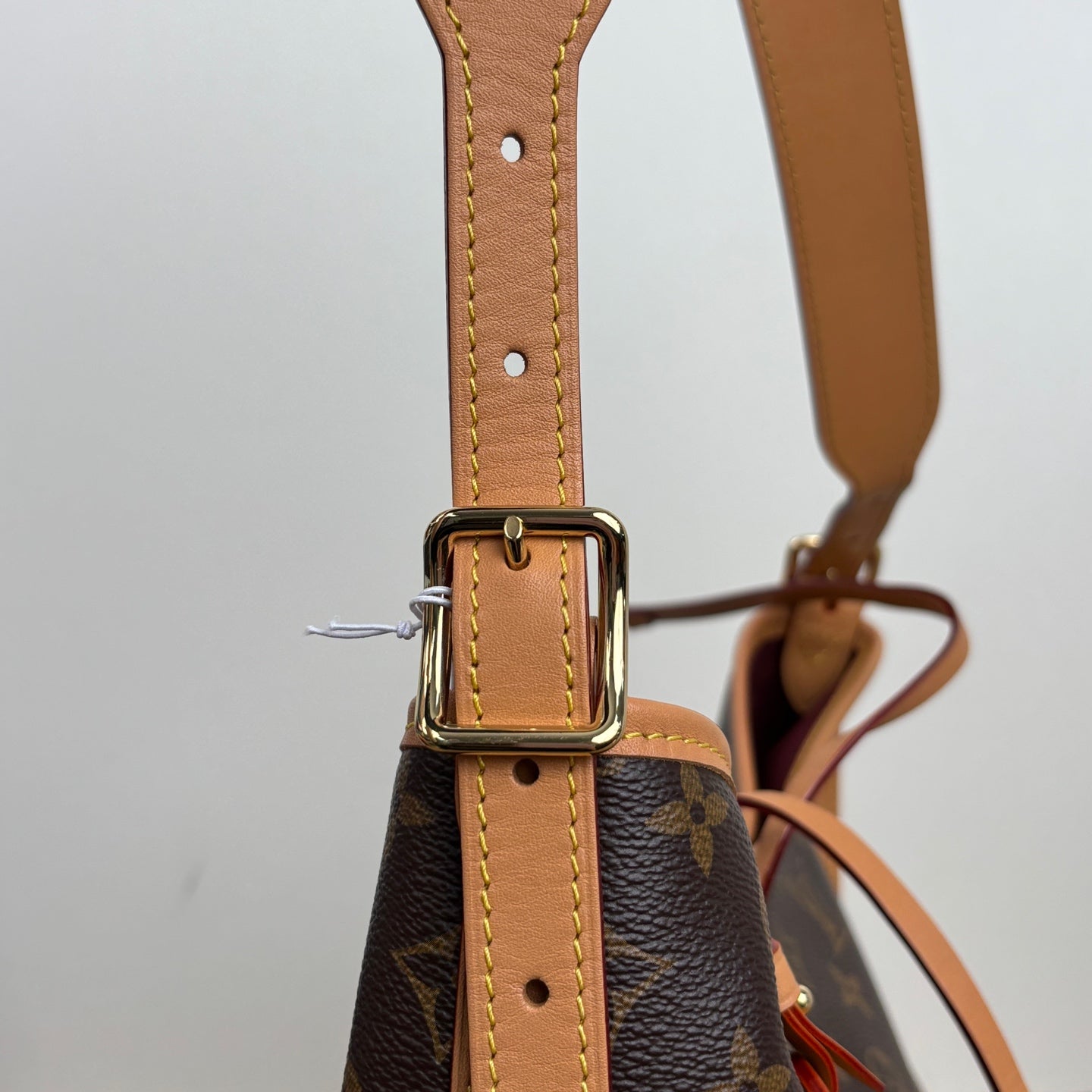 Louis Vuitton M46203 CarryAll PM