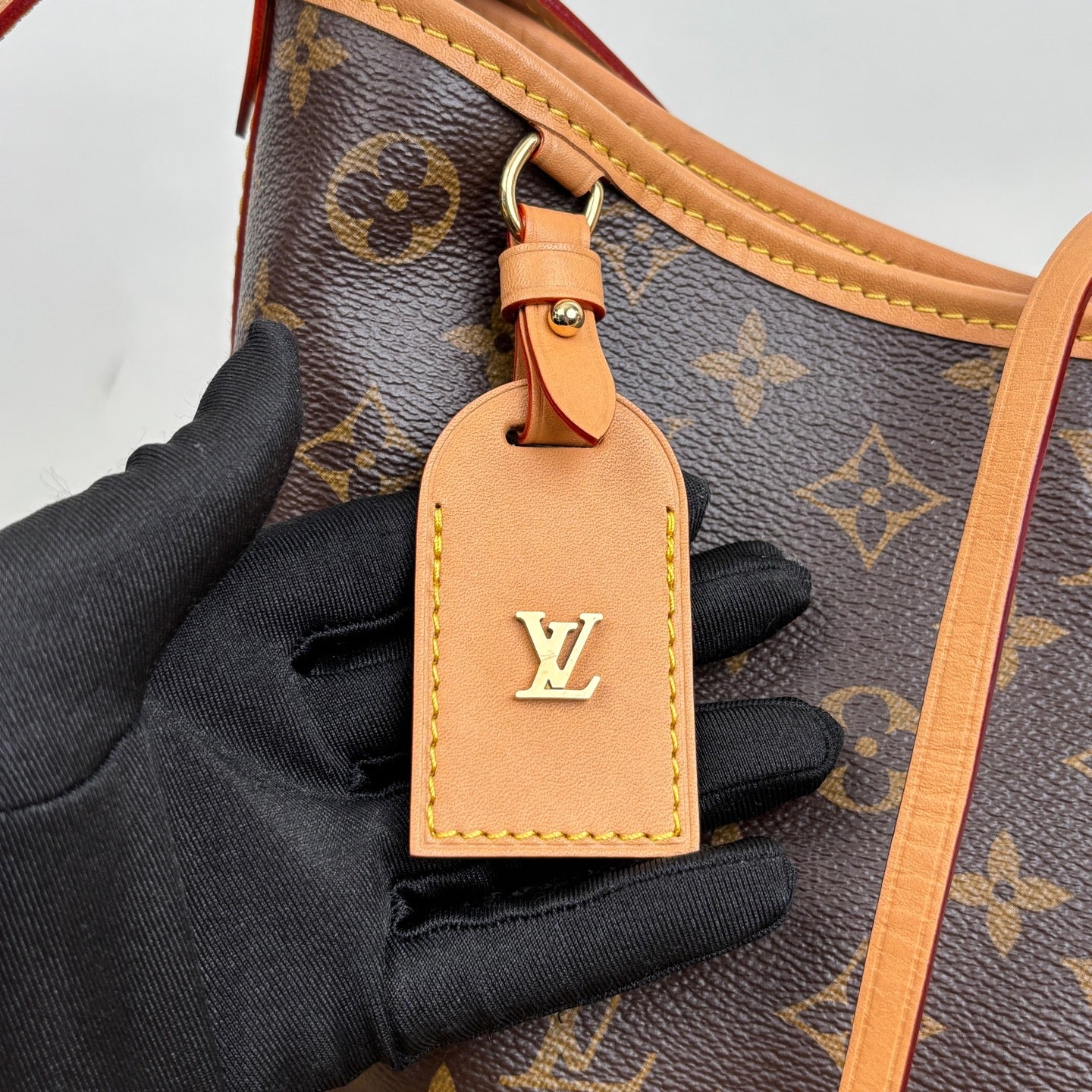 Louis Vuitton M46203 CarryAll PM