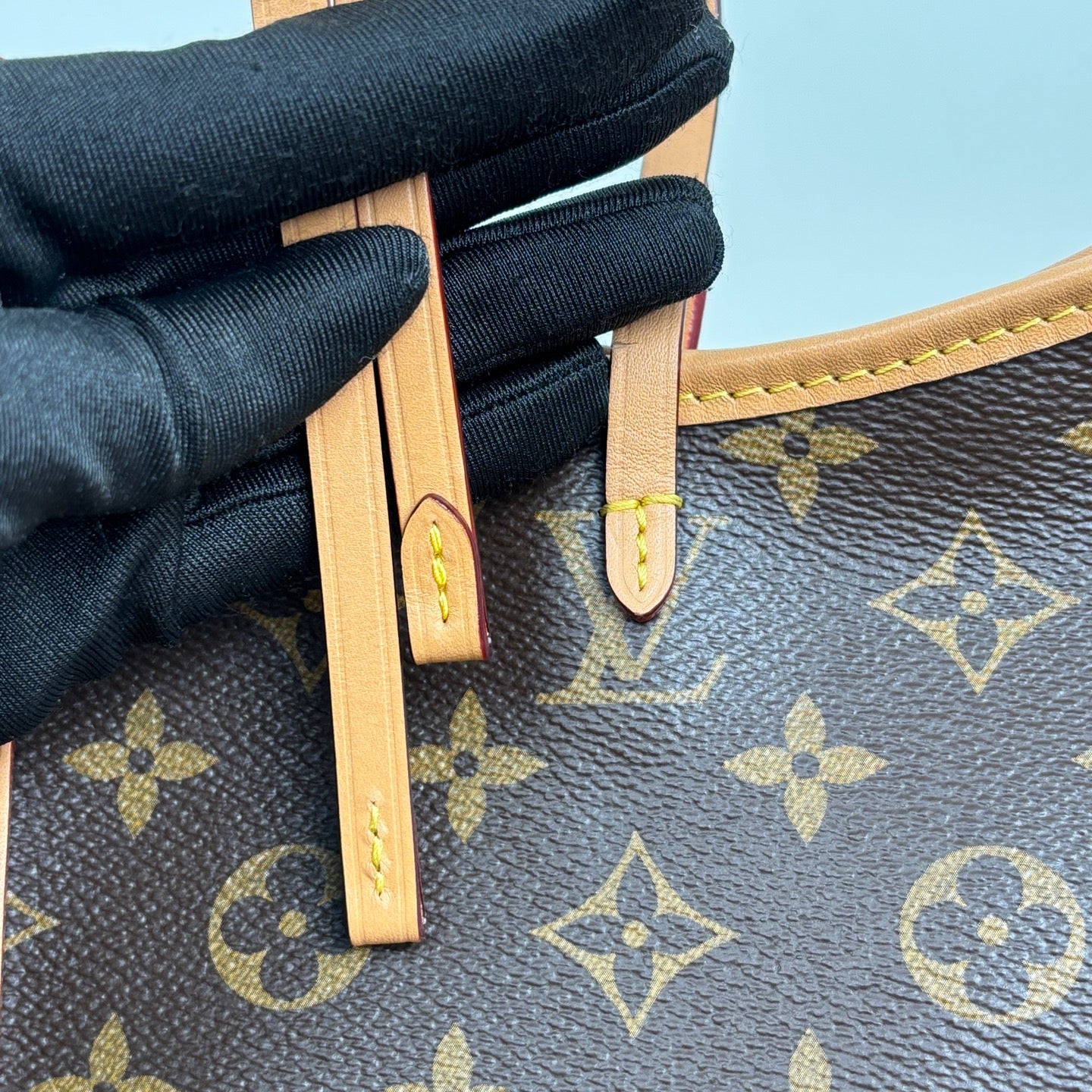 Louis Vuitton M46203 CarryAll PM