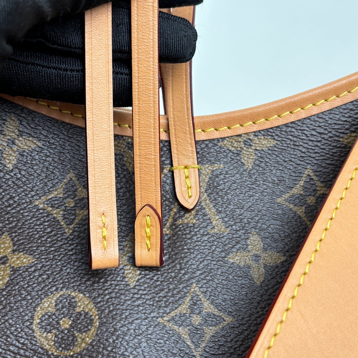 Louis Vuitton M46203 CarryAll PM