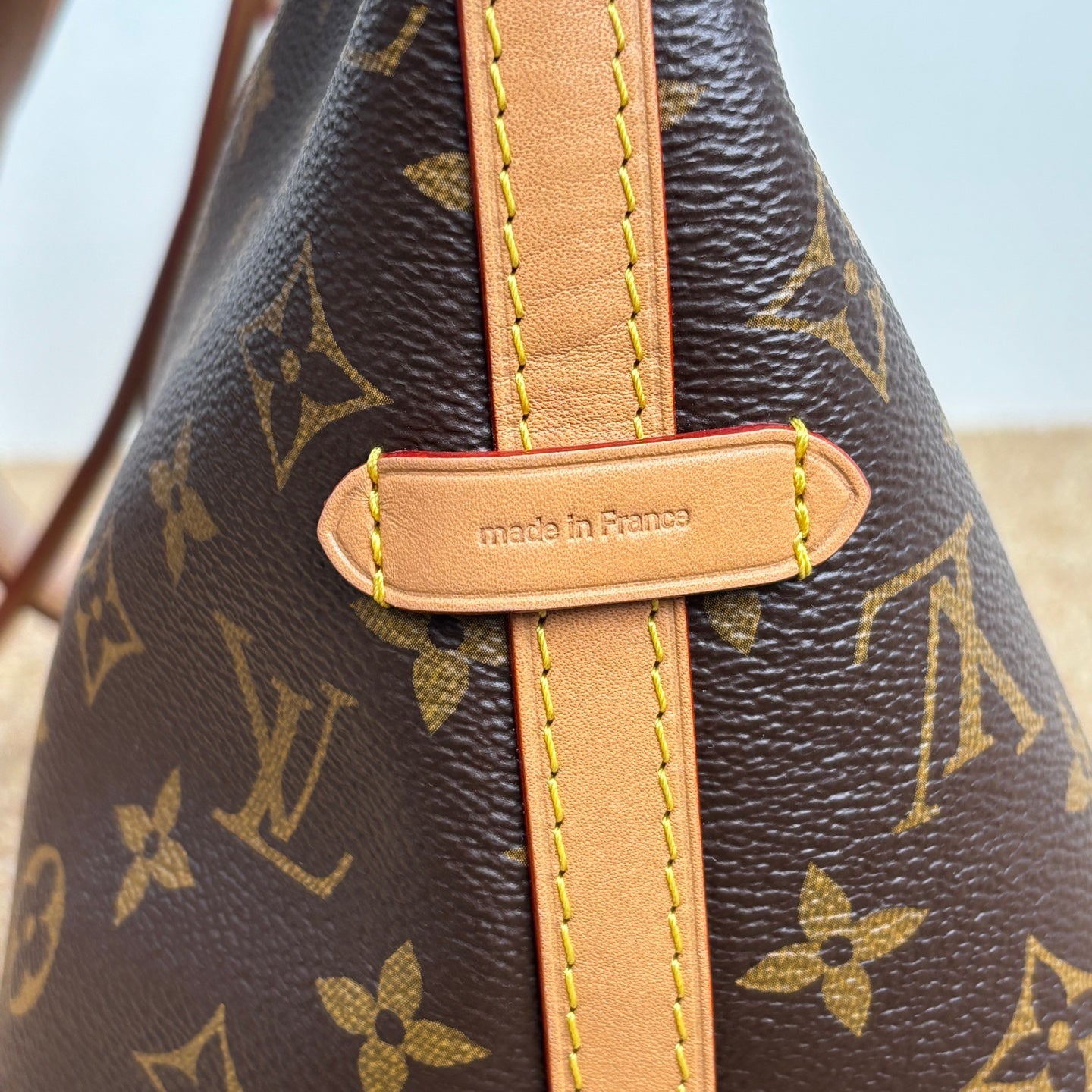 Louis Vuitton M46203 CarryAll PM