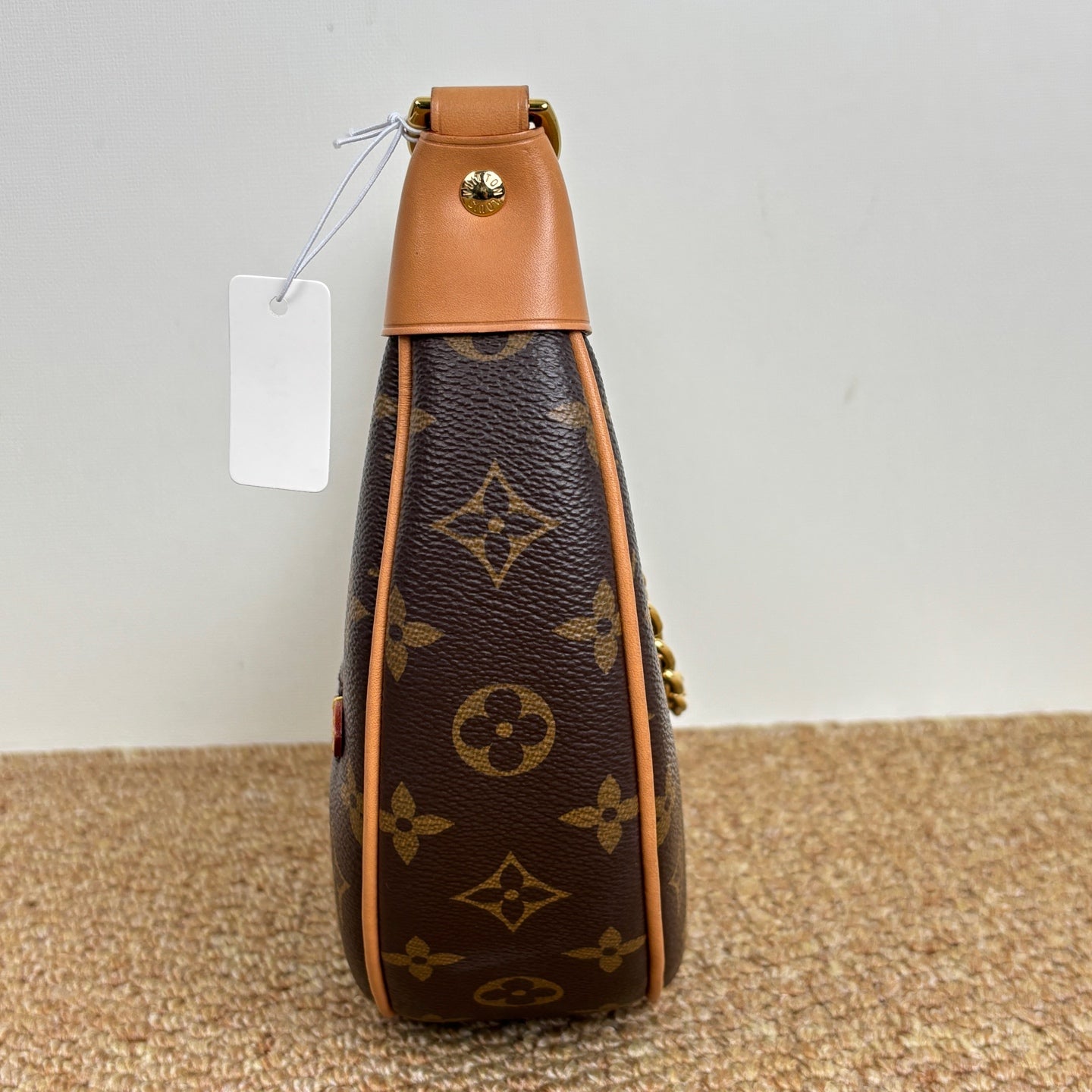 Louis Vuitton Loop Shoulder Bag
