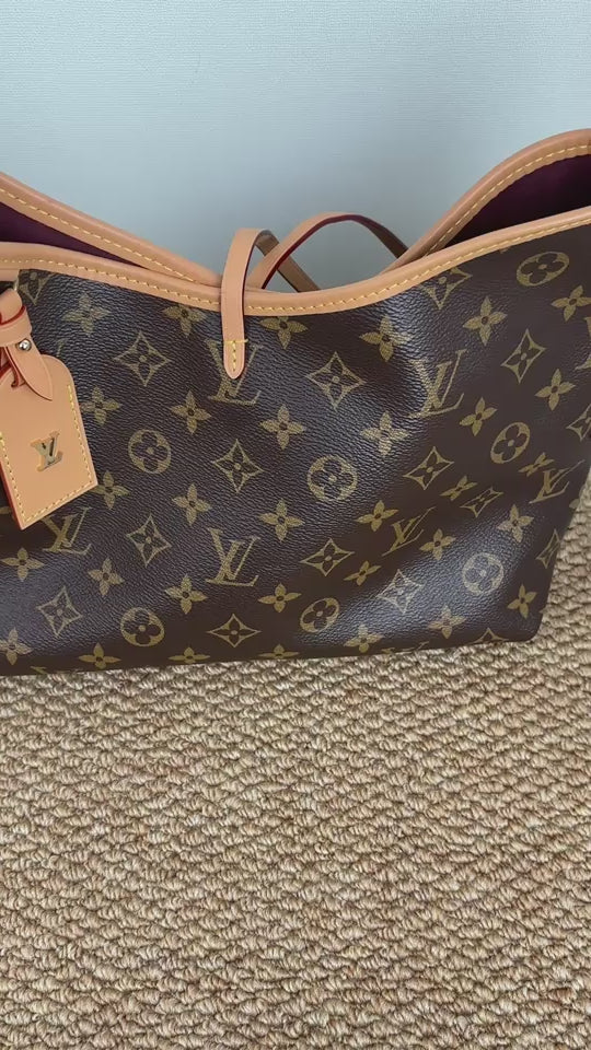 Louis Vuitton M46203 CarryAll PM